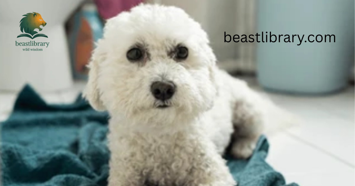 peeing Dog