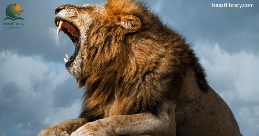 Animals that growl
