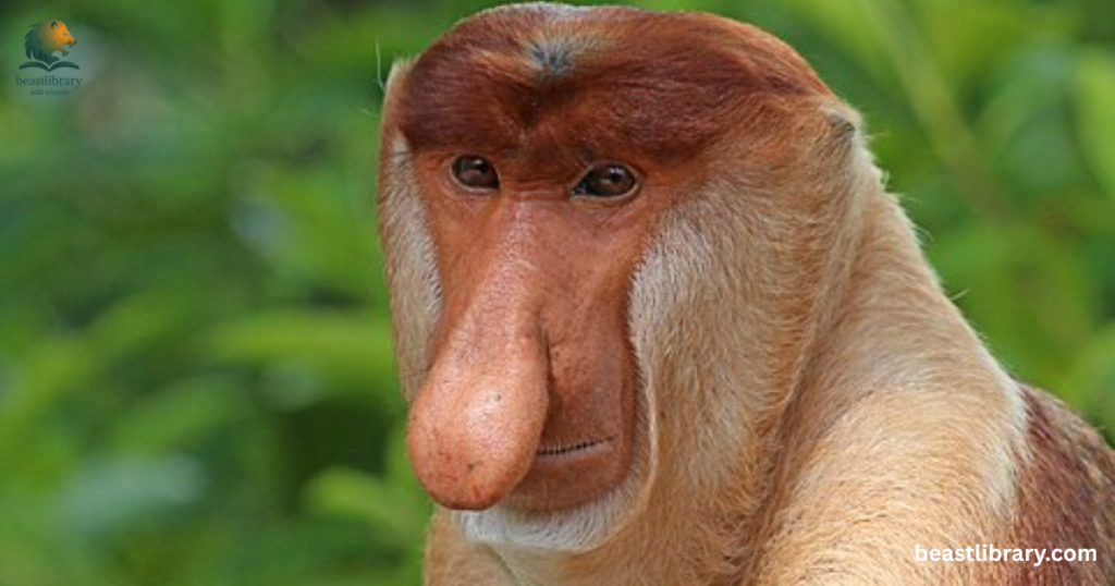 Animals that Drink a lot of Water