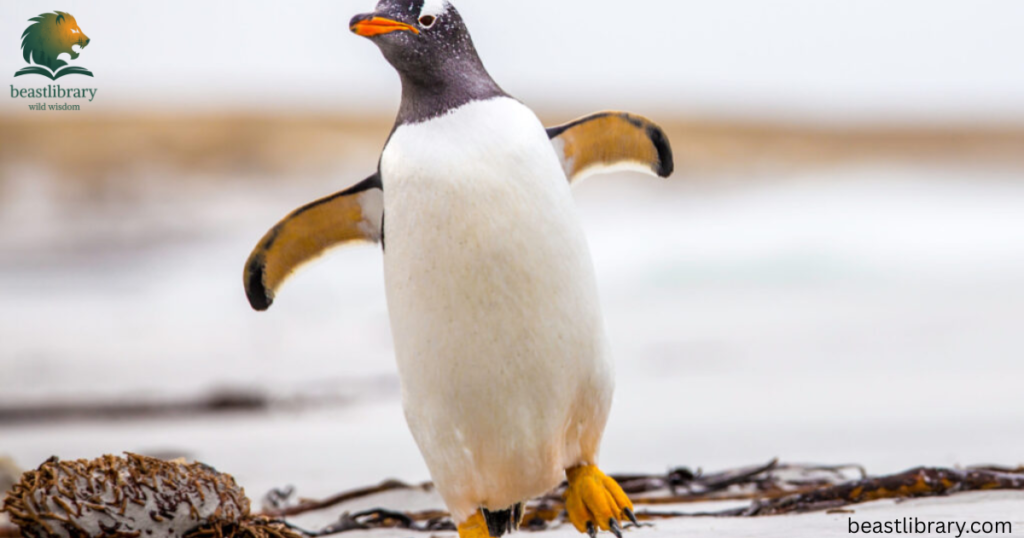 Animals With Short Legs