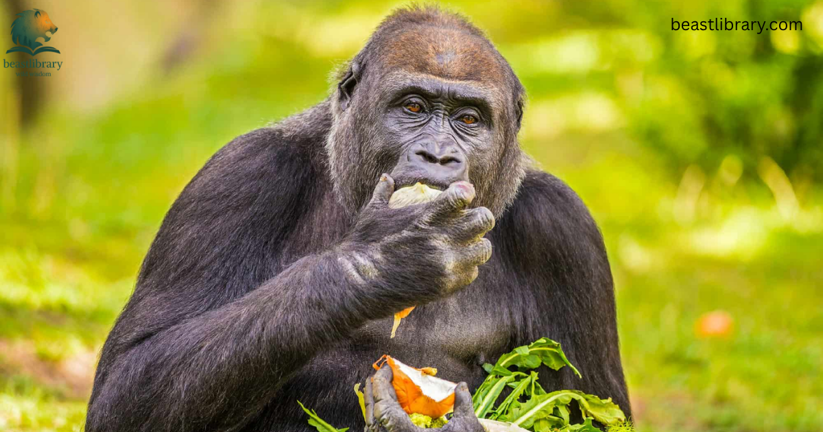 Animals That Eat a Lot