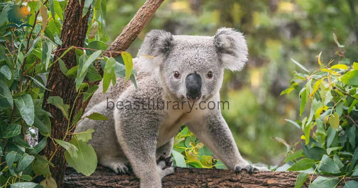 Animals with lowest IQ
