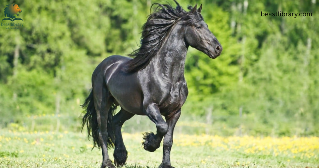 Animals With Long Legs-horse