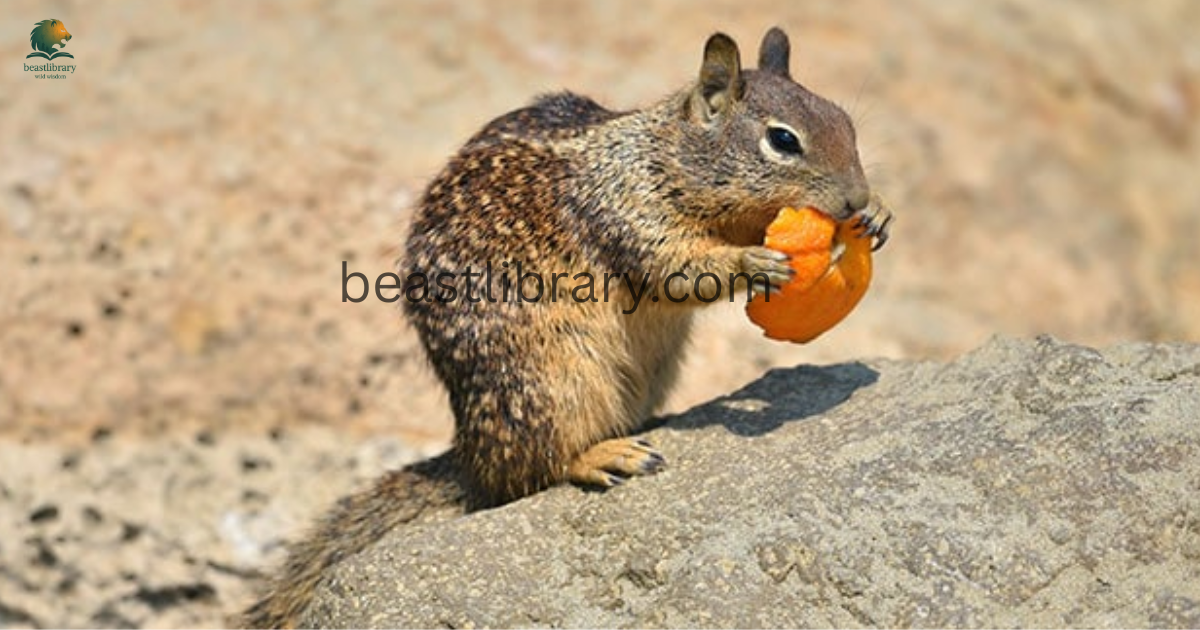 Animals That Eat Oranges