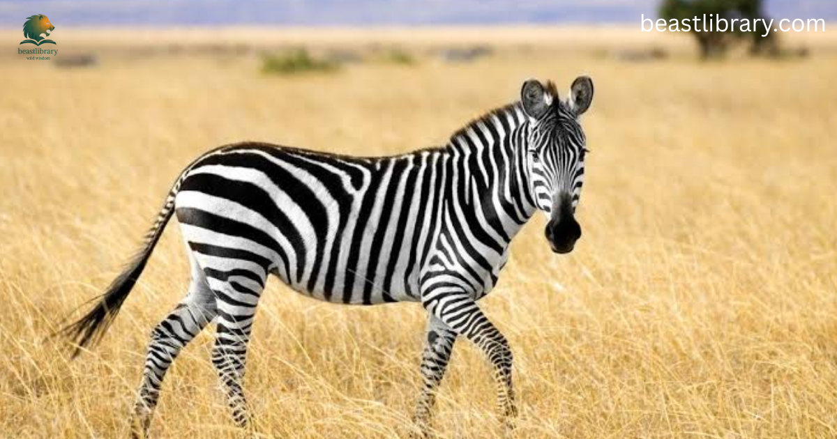 Animals That Live in Grassland