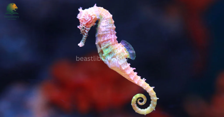 Animals With Prehensile Tails