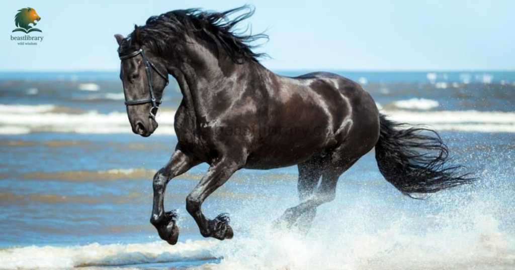 Hard Working Animals in The World- horse